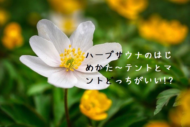 自宅サウナをはじめたい テントかマントか迷ったらコレ Sukjai